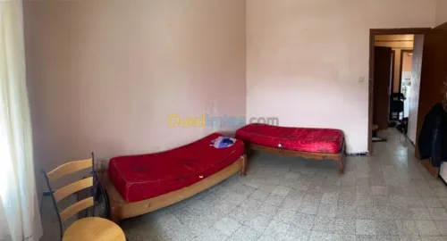 Location Appartement F2 Alger Belouizdad
