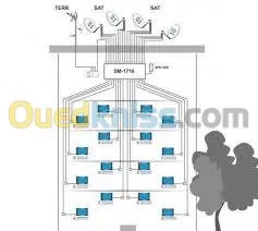 installation parabole collective