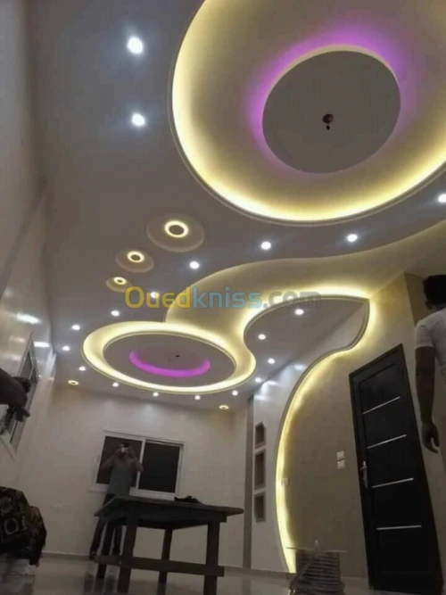 Placo plâtre décoration ba 13 .pvc 