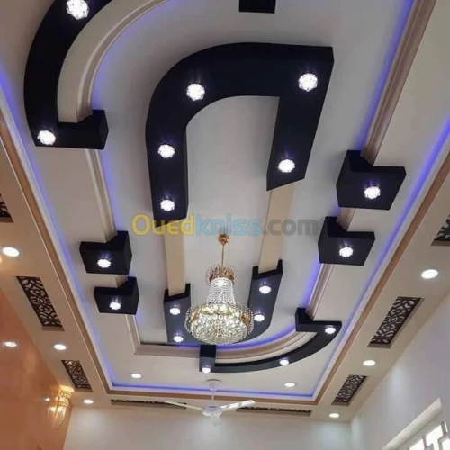 Placo plâtre décoration ba 13 .pvc 