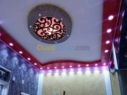 Placo plâtre décoration ba 13 .pvc 