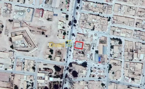 Vente bien immobilier El bayadh El abiod sidi cheikh