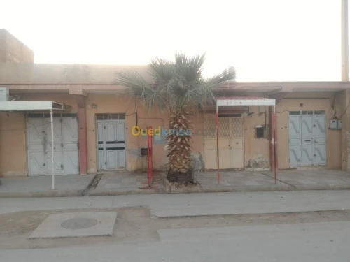 Vente bien immobilier El bayadh El abiod sidi cheikh