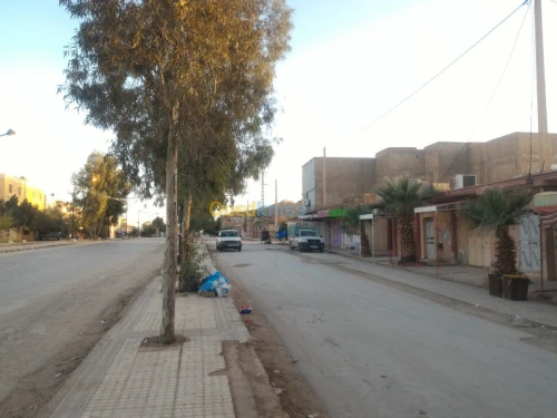 Vente bien immobilier El bayadh El abiod sidi cheikh