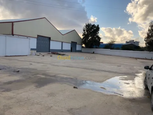 Location Hangar Blida Meftah