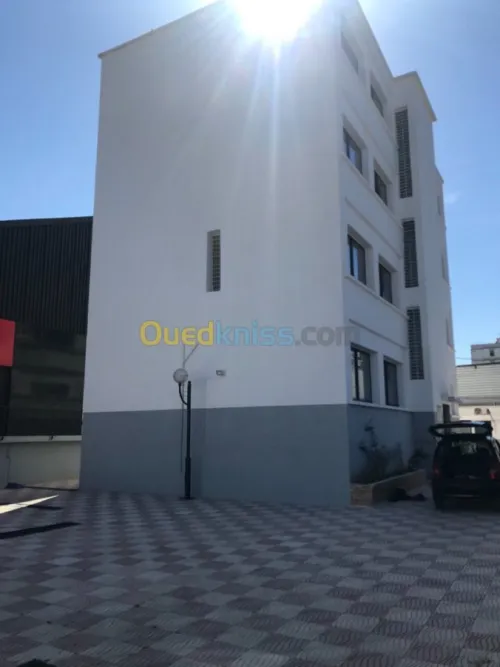 Location Hangar Blida Meftah