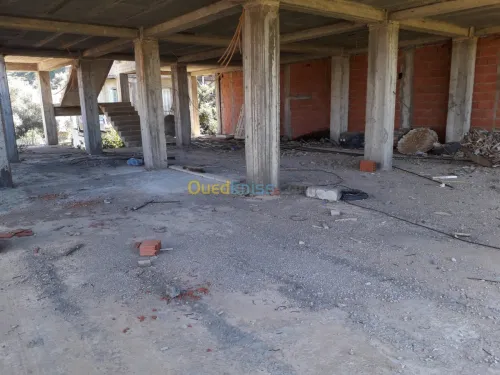 Vente Villa Jijel Ziama mansouriah