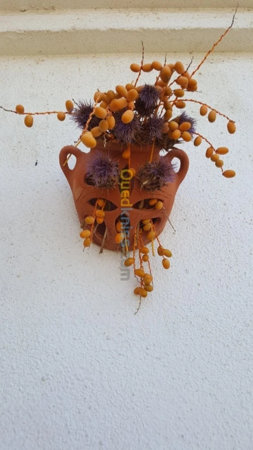 Pots de fleurs et cache pots