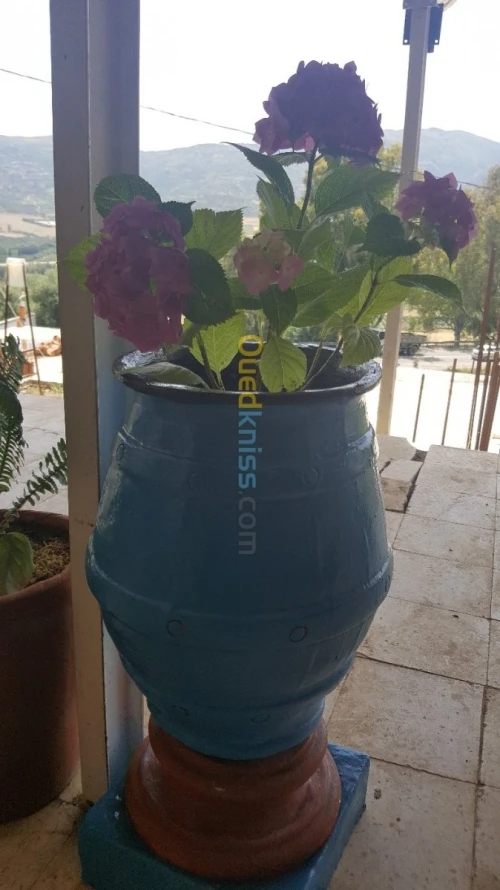 Pots de fleurs et cache pots