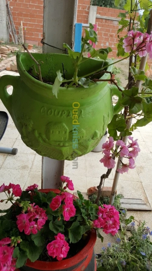 Pots de fleurs et cache pots