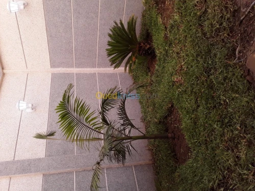 Amenagement des jardins 