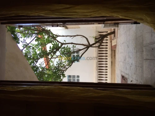 Location vacances Bungalow Boumerdes Boumerdes