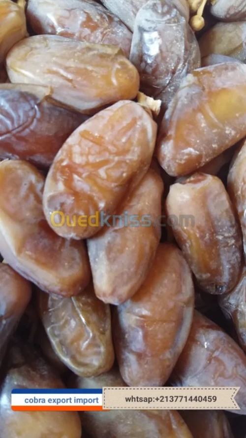 export import dattes deglet nour