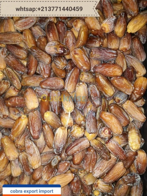 export import dattes deglet nour