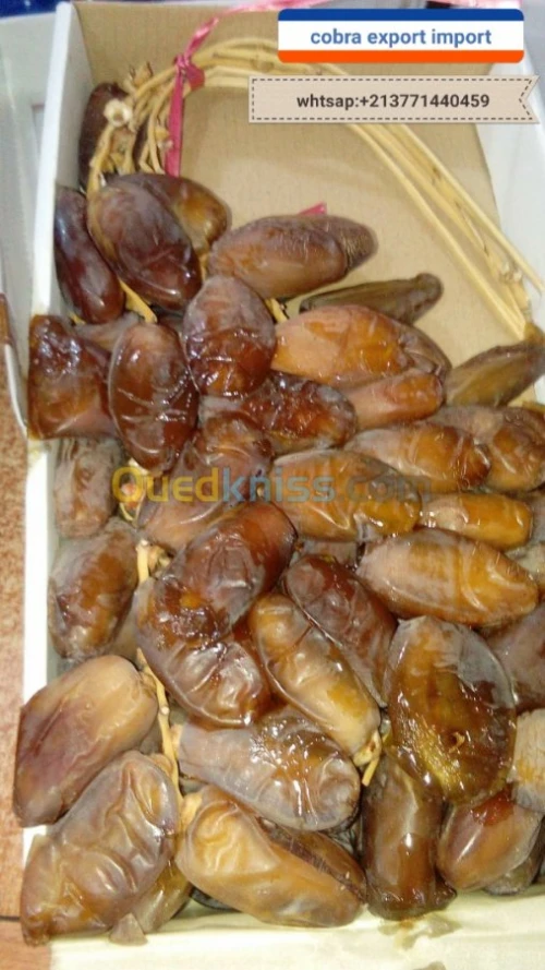 export import dattes deglet nour