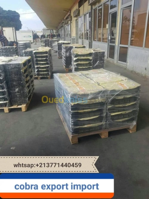 export import dattes deglet nour