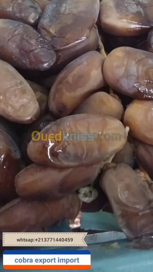 export import dattes deglet nour