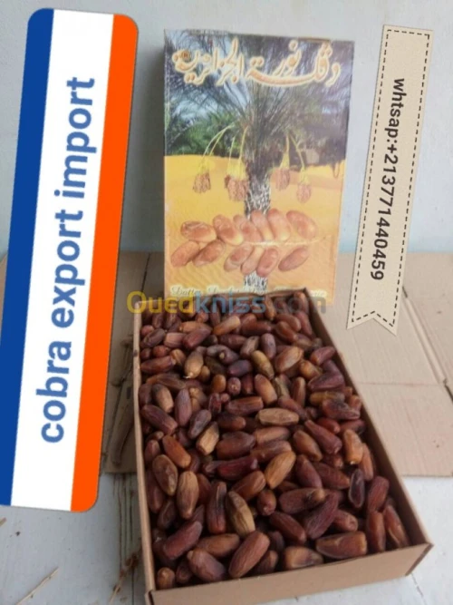 export import dattes deglet nour