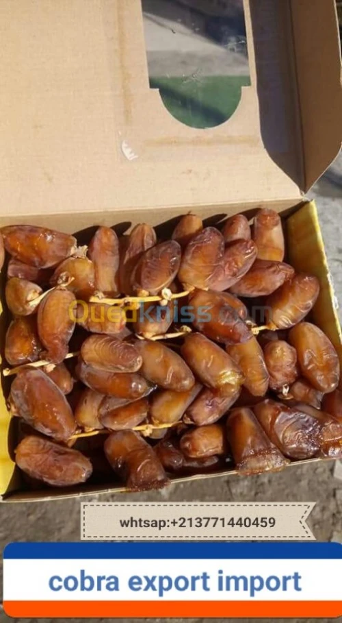 export import dattes deglet nour
