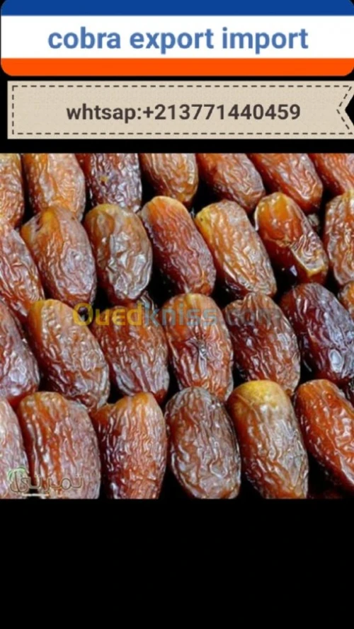 export import dattes deglet nour