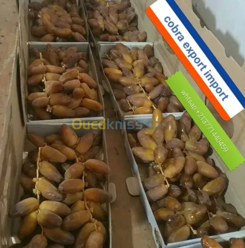 export import dattes deglet nour