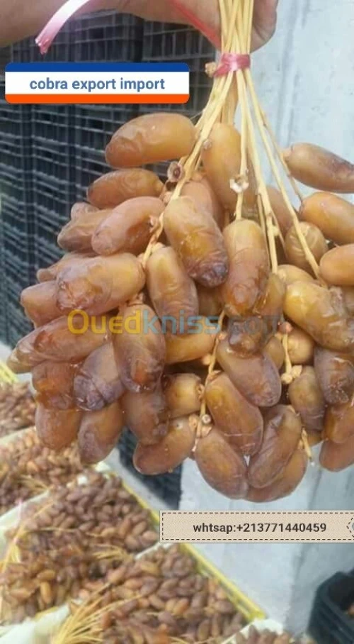 export import dattes deglet nour
