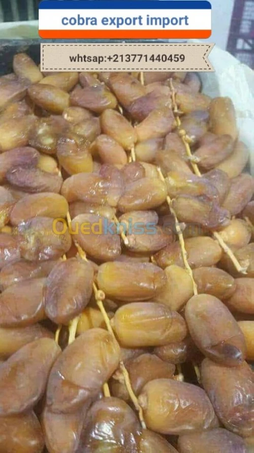 export import dattes deglet nour