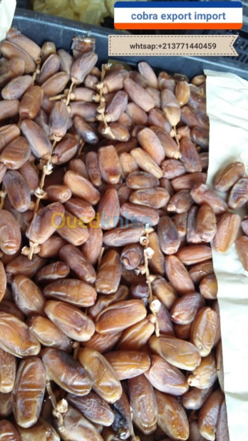 export import dattes deglet nour