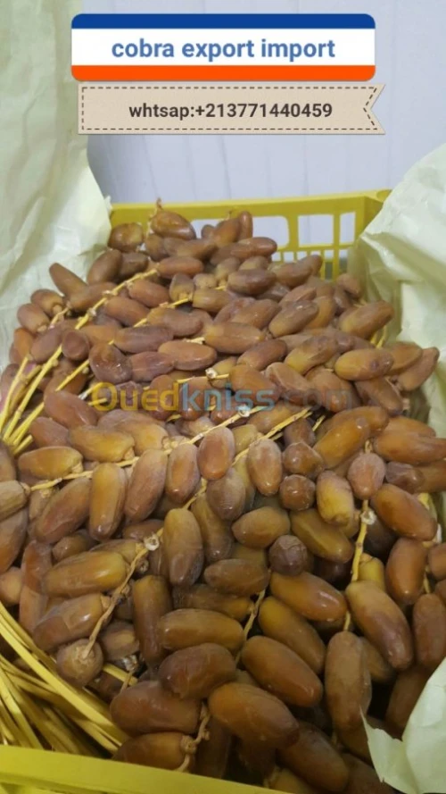 export import dattes deglet nour