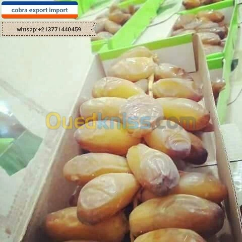 export import dattes deglet nour