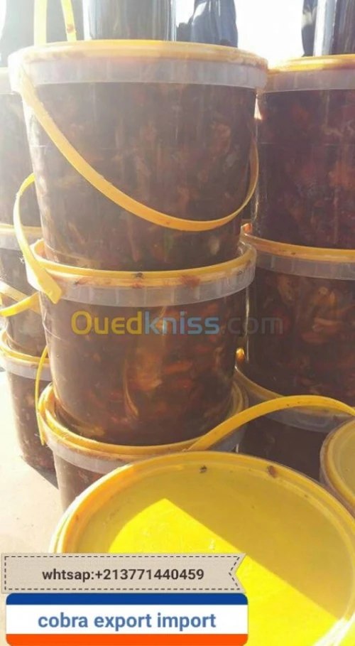 export import dattes deglet nour