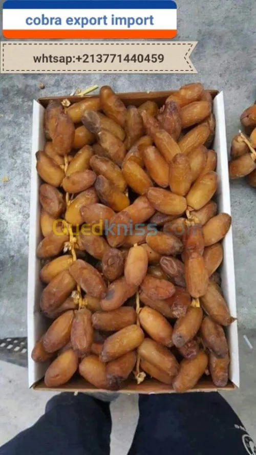export import dattes deglet nour