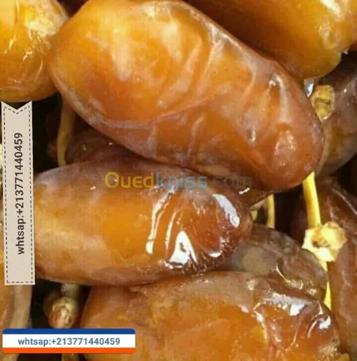 export import dattes deglet nour