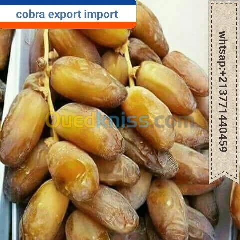 export import dattes deglet nour