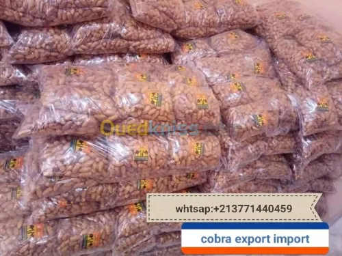 export import dattes deglet nour