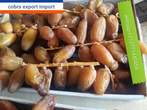 export import dattes deglet nour