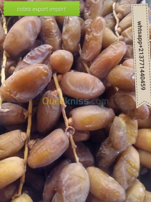 export import dattes deglet nour