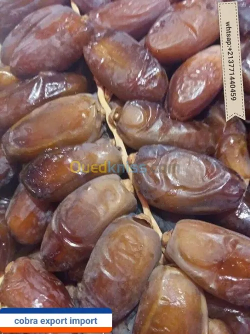 export import dattes deglet nour