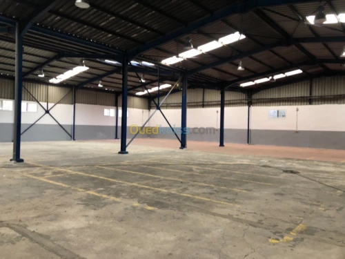 Location Hangar Alger Dar el beida