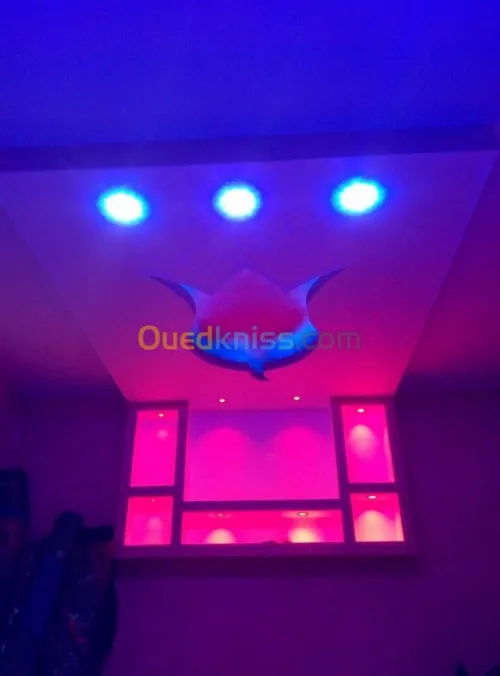 Placo plâtre décoration  