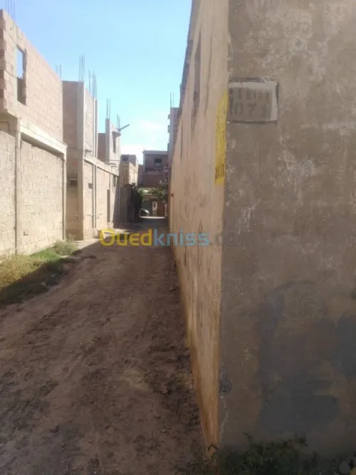 Location Local Ain defla Sidi lakhdar