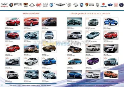 Pies détaché auto 