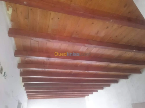 Faux plafond BA13 PVC DÉMONTABLE 