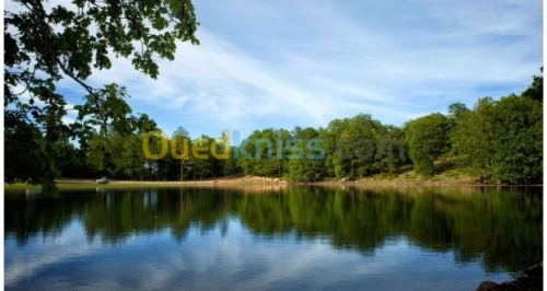 Randonnée vers Le Lac Noir