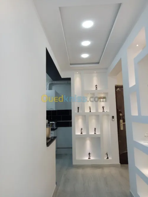   travaux ba13 placo plâtre , 