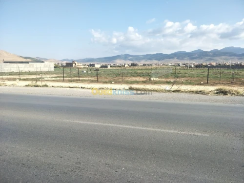 Location Terrain Setif Rasfa