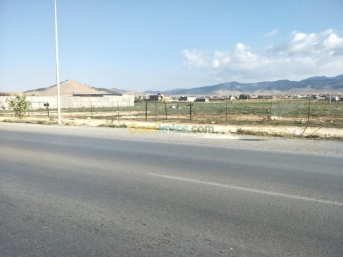 Location Terrain Setif Rasfa