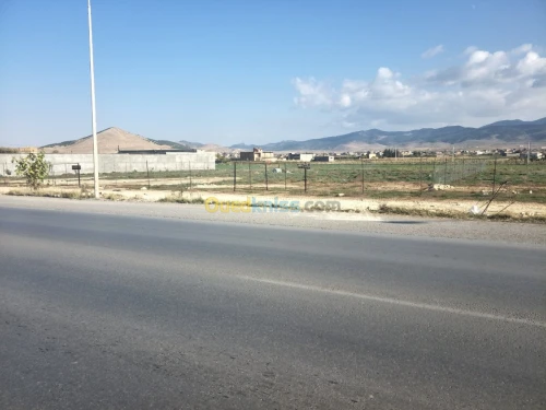 Location Terrain Setif Rasfa