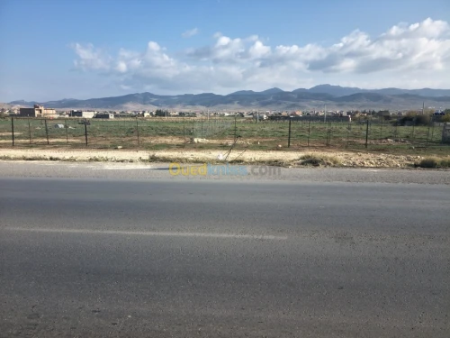 Location Terrain Setif Rasfa