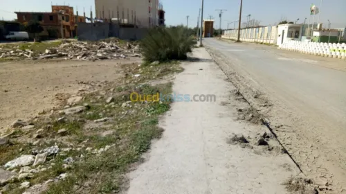 Vente Terrain Bouira Mchedallah